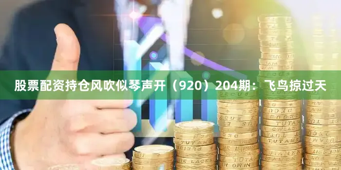 股票配资持仓风吹似琴声开（920）　　204期：飞鸟掠过天