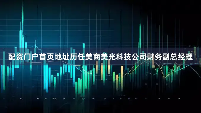 配资门户首页地址历任美商美光科技公司财务副总经理