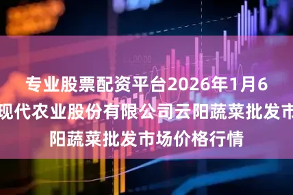 专业股票配资平台2026年1月6日陕西泾云现代农业股份有限公司云阳蔬菜批发市场价格行情