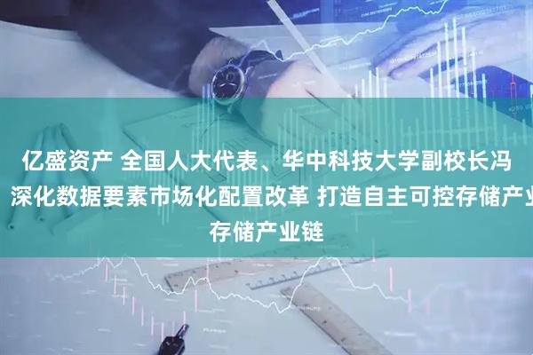 亿盛资产 全国人大代表、华中科技大学副校长冯丹：深化数据要素市场化配置改革 打造自主可控存储产业链
