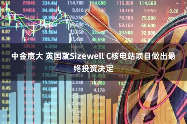 中金宸大 英国就Sizewell C核电站项目做出最终投资决定