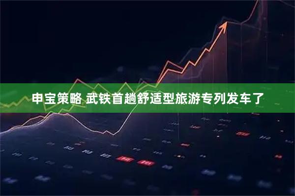 申宝策略 武铁首趟舒适型旅游专列发车了