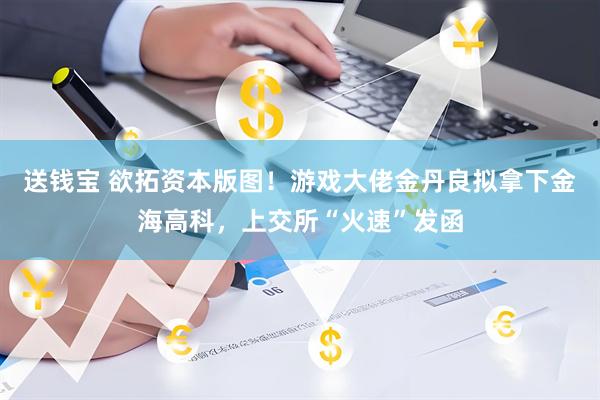 送钱宝 欲拓资本版图！游戏大佬金丹良拟拿下金海高科，上交所“火速”发函